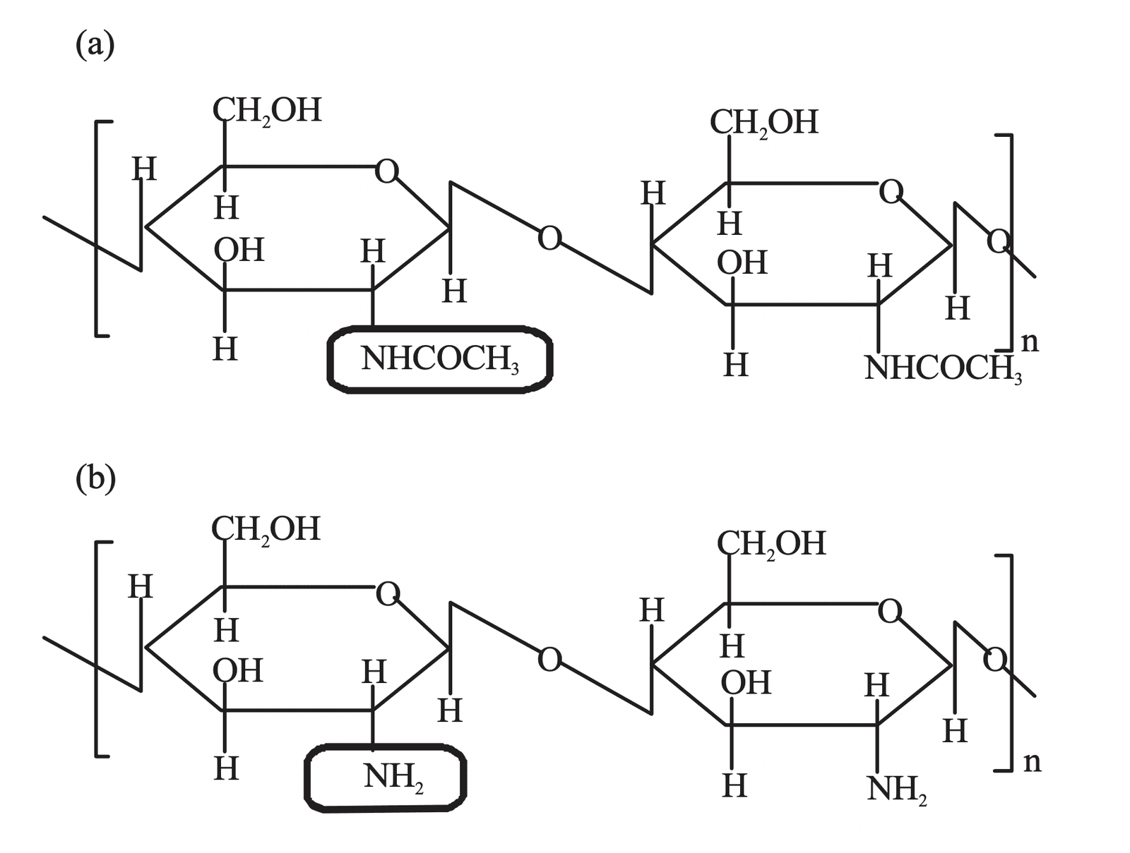 ¿QUÉ ES EL QUITOSANO? - Mountainside Orgánicos