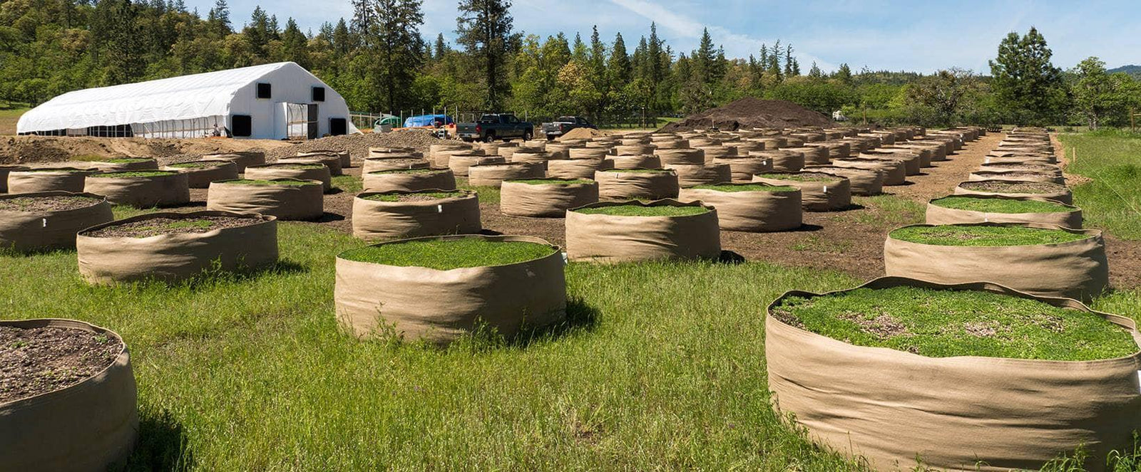 Grassroots Tierra viva.