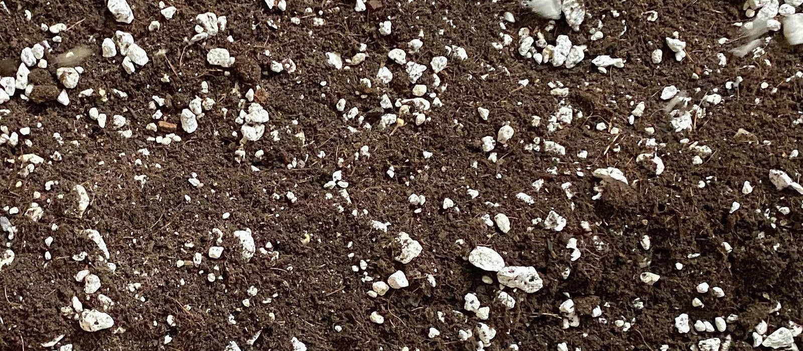 Como Preparar el Living Soil (Suelo Vivo) de Mountainside Orgánicos - Mountainside Orgánicos