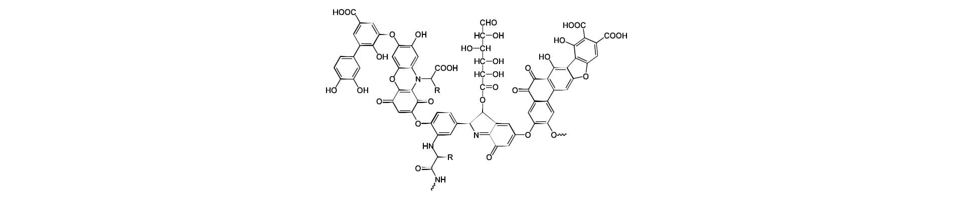 estructura molecular de acidos humicos
