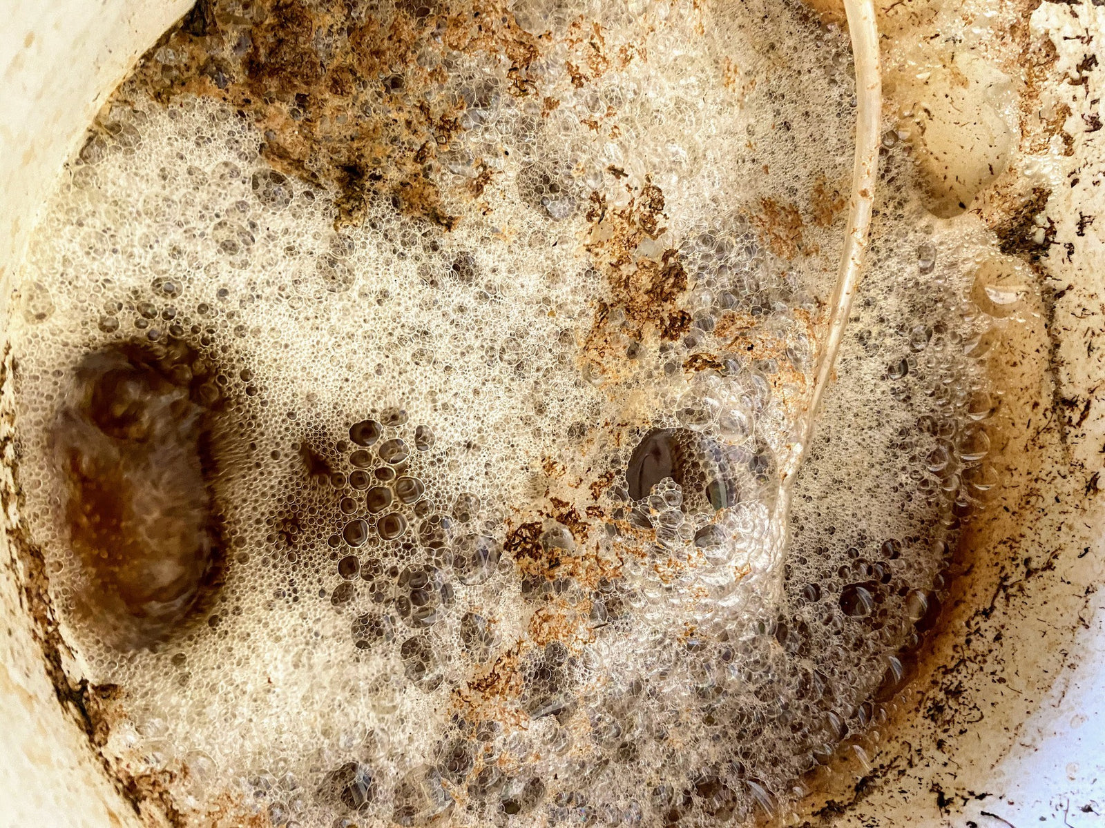 ¿Qué es la Fertilización Orgánica? - Mountainside Orgánicos