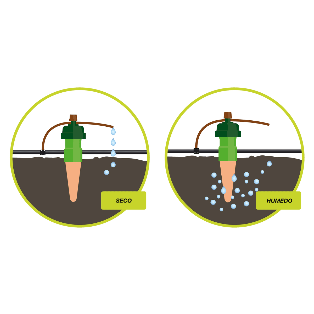 RIEGO BASADO EN LA DEMANDA DE LA PLANTA - Mountainside Orgánicos