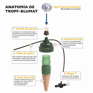 Globos De Riego Automático Para Plantas - 5 Unidades De 500 Ml - Con Pico De Terracota - Sistema De Autorriego Para 7 Días