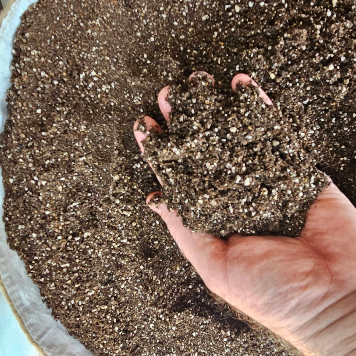 Sustrato Para Germinar - Living Soil (Suelo Vivo) - Formulación para Germinación
