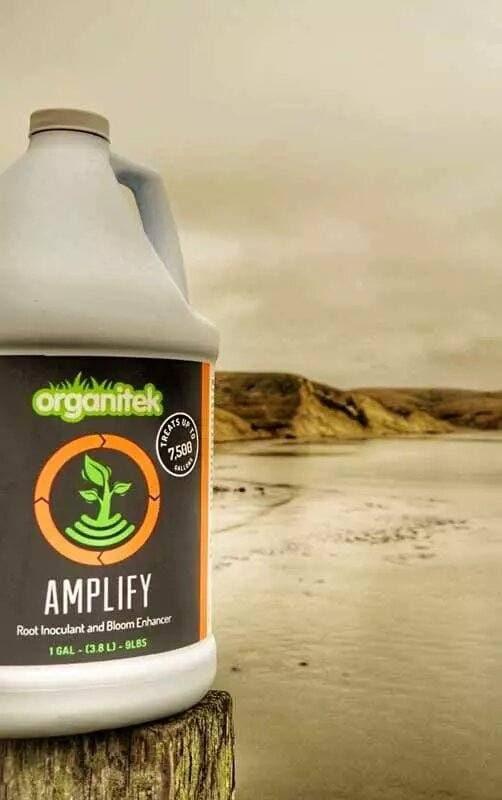 Amplify by Organitek en México | Consorcio de Microorganismos Eficientes y Entomopatógenos | Biofertilizante - Mountainside Orgánicos
