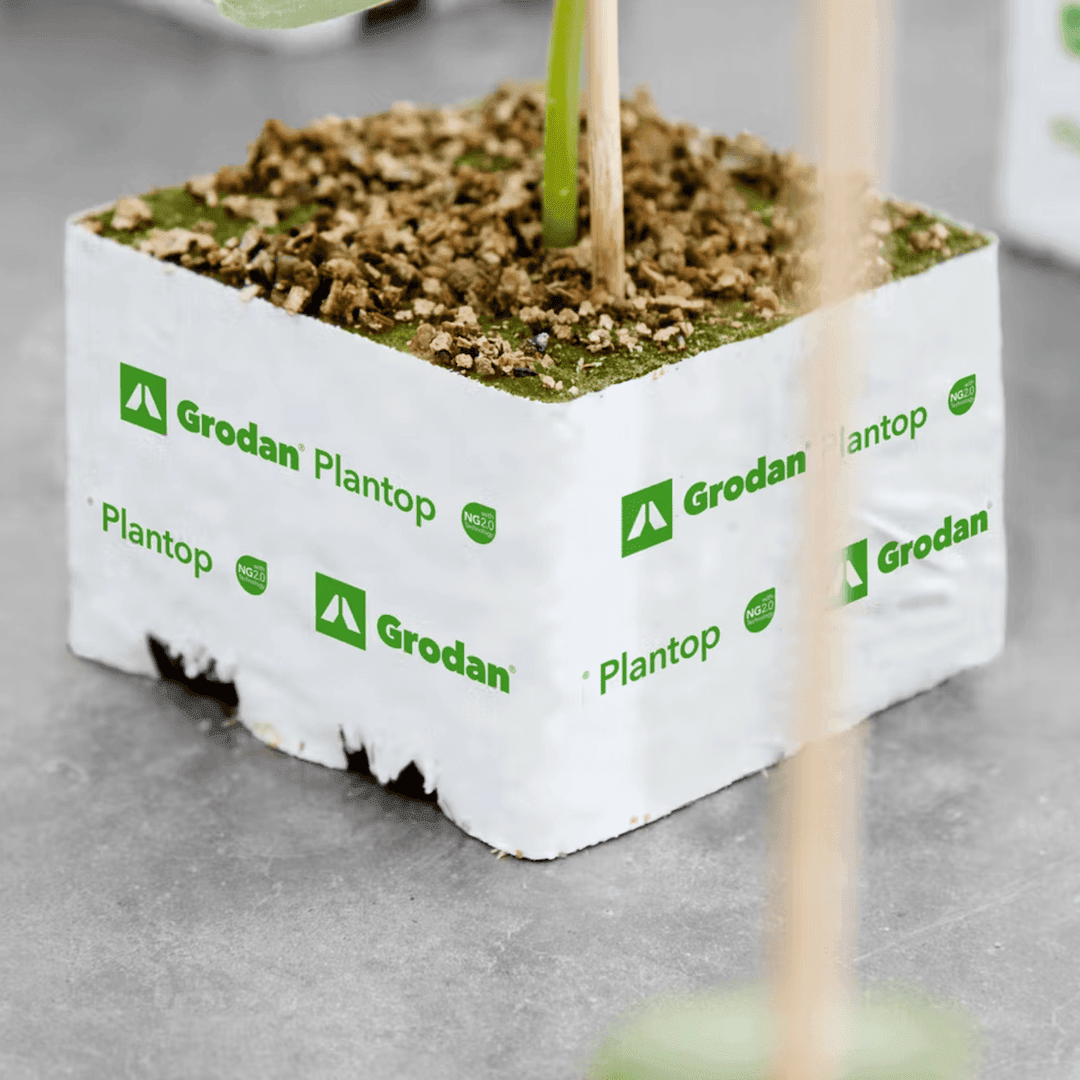 Grodan Lana de Roca Tipo Plantop - Bloques de 7.5 x 7.5 x 6.5 cm con Hoyo - Tecnología NG2.0 - Mountainside Orgánicos