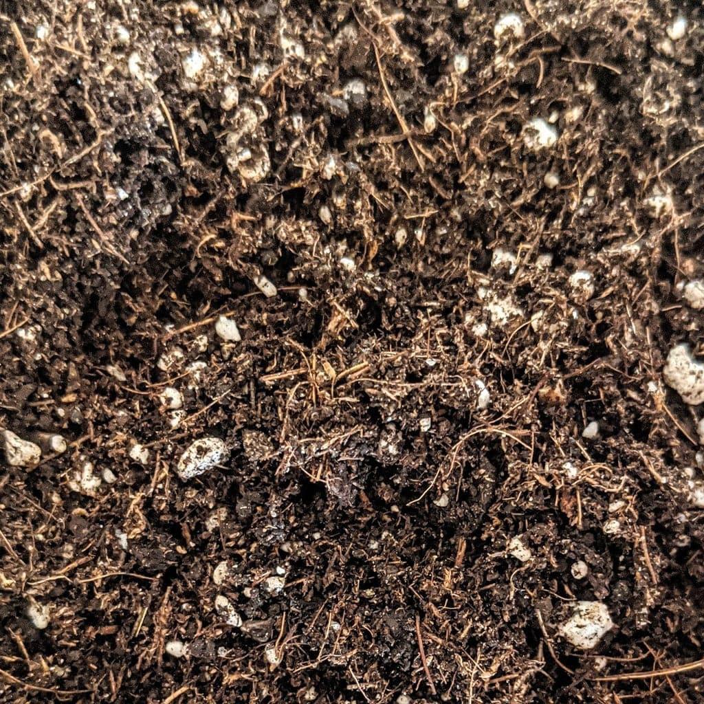 living soil en mexico-tierra viva-super soil en venta en mexico